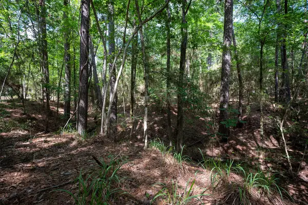 tbd County Road 3610 E, Woodville, TX 75979