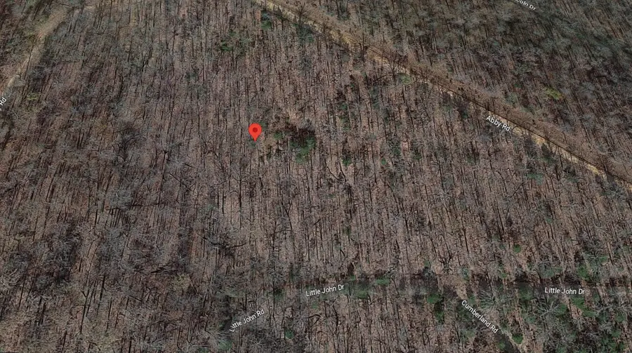 Lot 13 Abbey Road, Hardy, Ar 72542 - #3