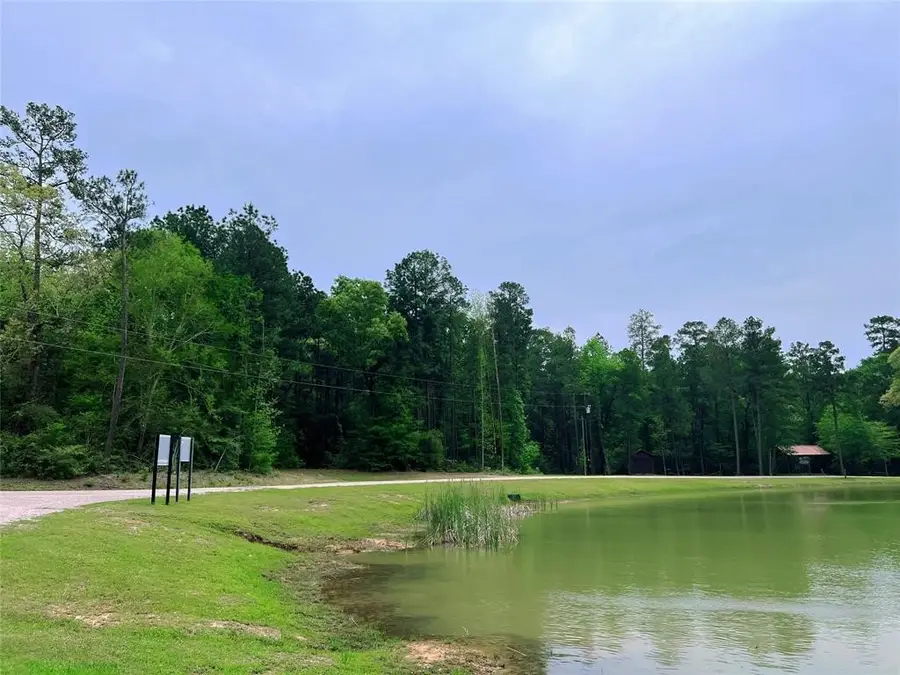 1-2-33 Dedication Trail, Huntsville, TX 77340 - #3