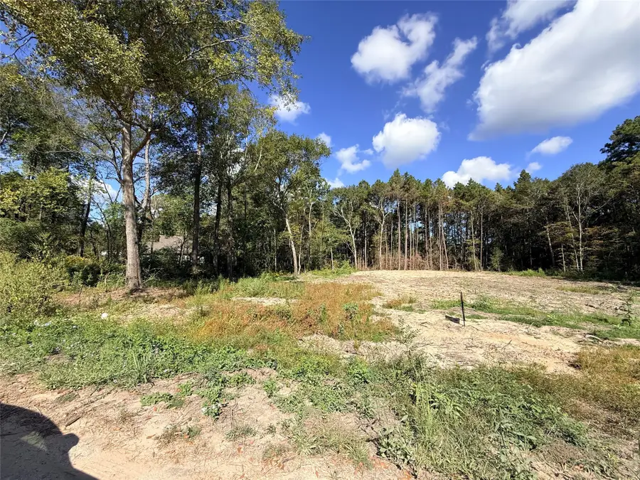 11249 Wildwood Lane, Plantersville, TX 77363 - Image #3