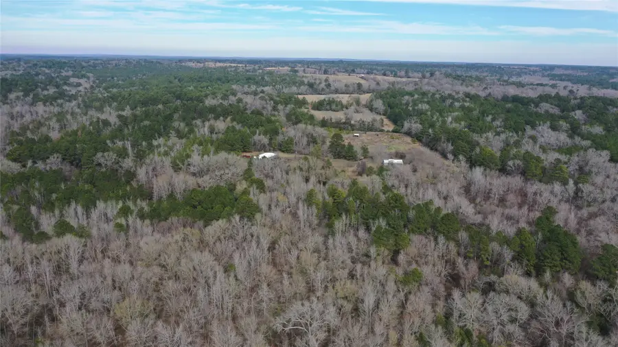 Lot 2 County Road 2240, Grapeland, TX 75844 - Image #2