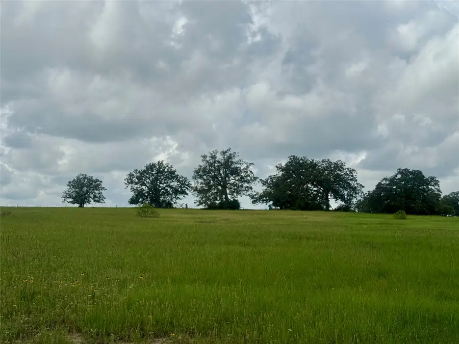 1390 Connor Landing, Madisonville, TX 77864 - #2