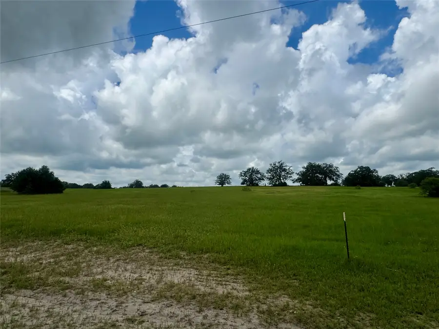 1390 Connor Landing, Madisonville, TX 77864 - #3