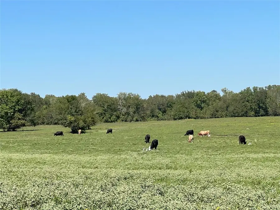 0000 tbd Jackson Rd, Montgomery, TX 77316 - Image #2