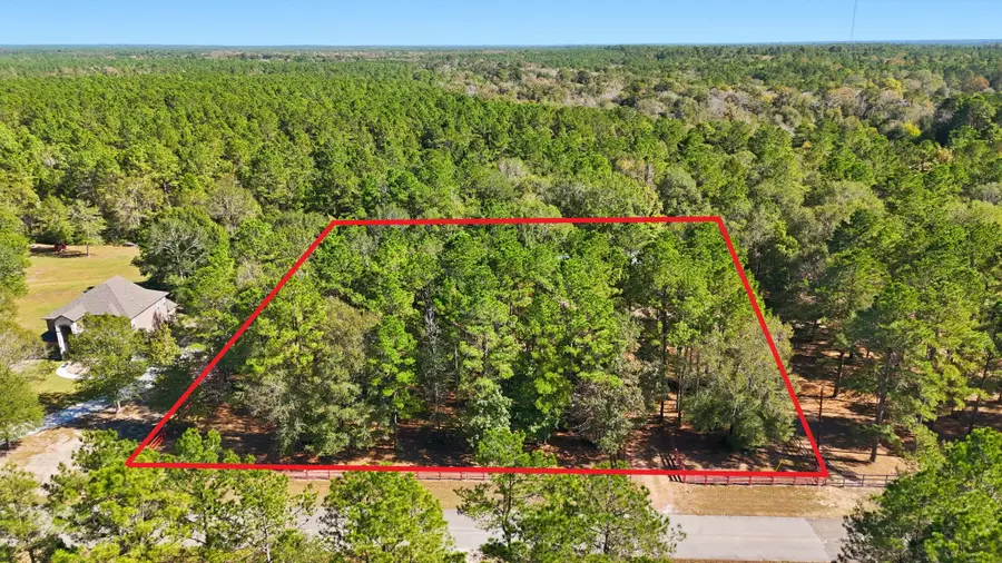 2020 White Buck Court, Cleveland, TX 77328 - #2