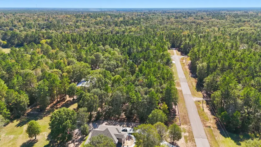 2020 White Buck Court, Cleveland, TX 77328 - #3