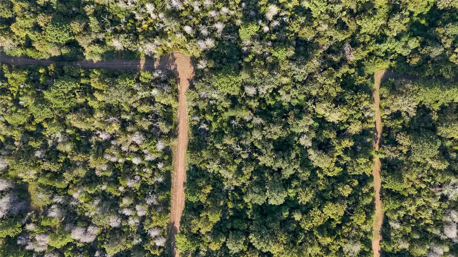 29044 Sandpiper Lane, Prairie View, TX 77445 - Image #2