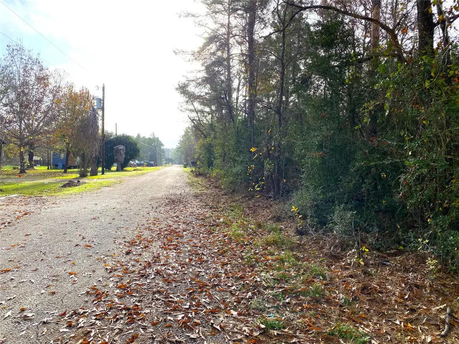 Lot 21 Lula Drive, Huntsville, TX 77320 - #2