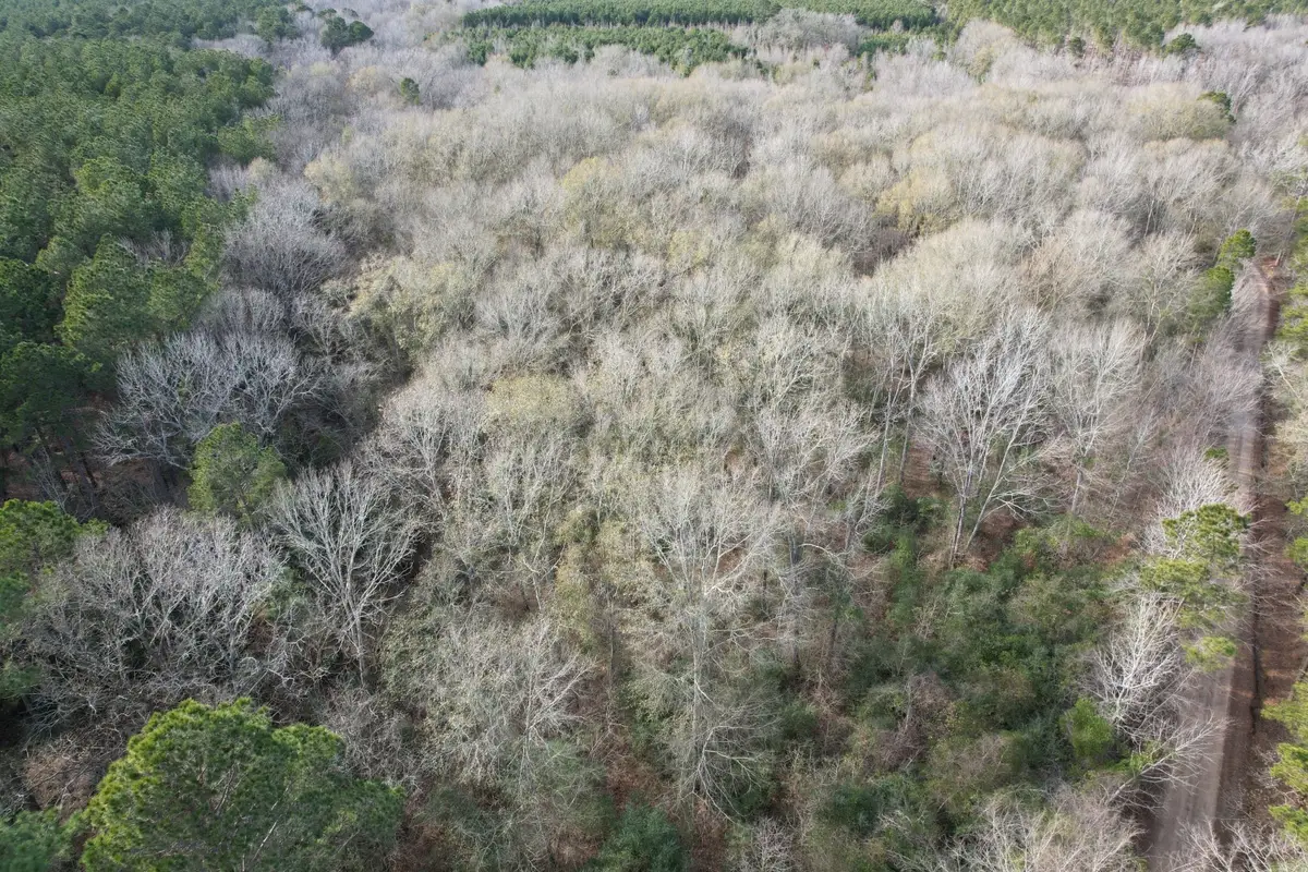 Tract C County Road 4037, Timpson, TX 75975 - Image #1