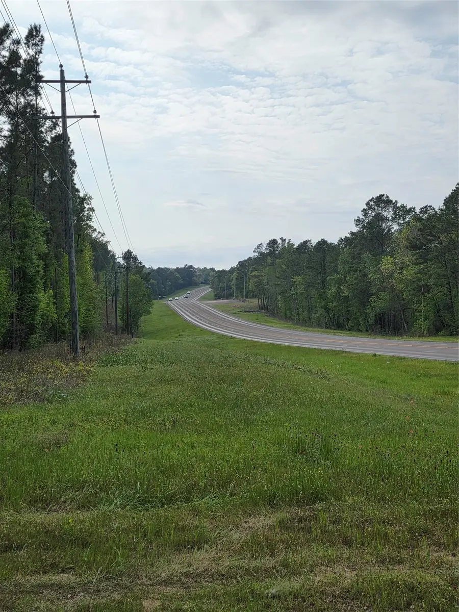 TBD Parcel# 96676 Hwy 190, Point Blank, TX 77364 - #2