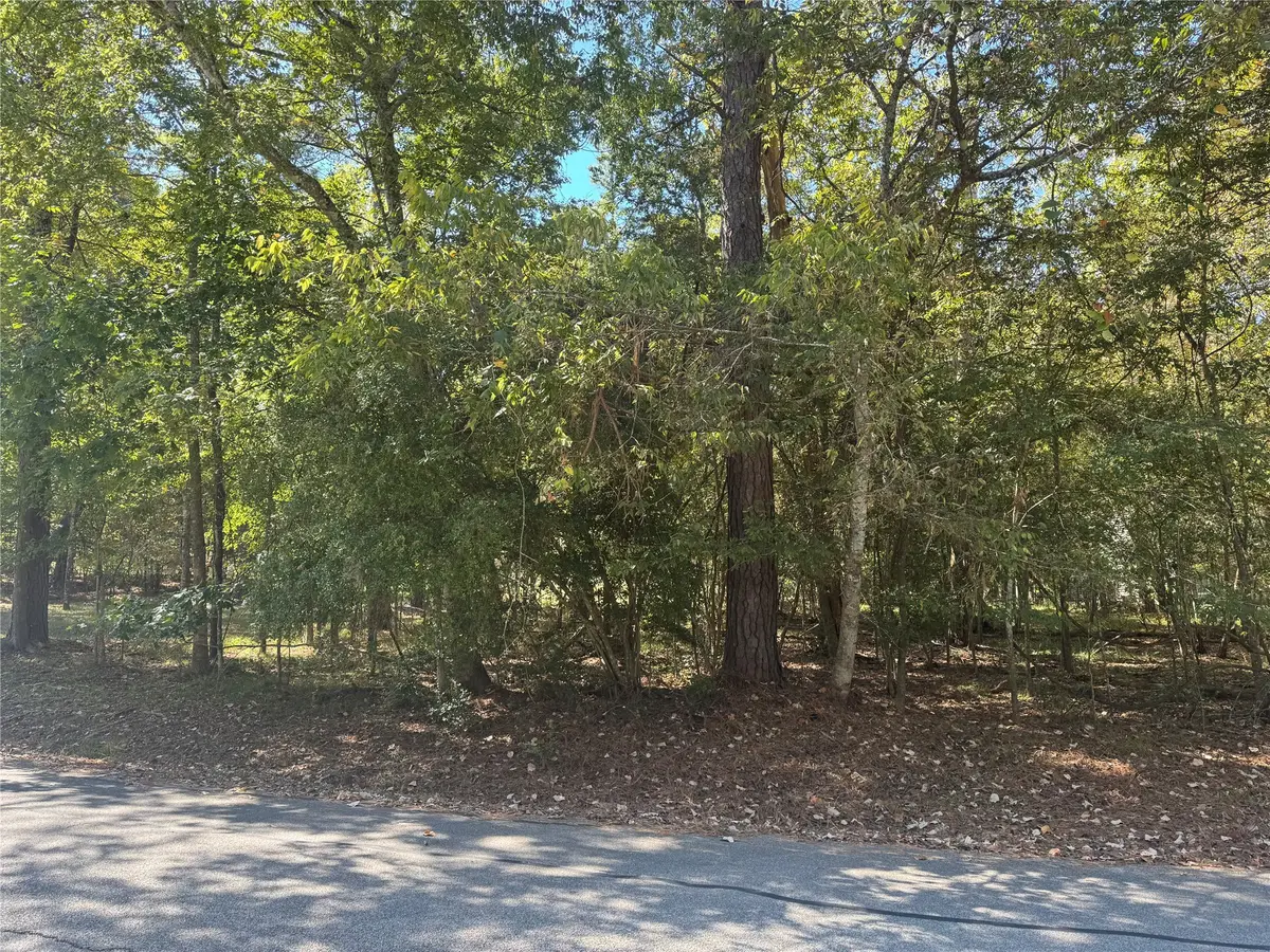 176 N Fairway Loop, Coldspring, TX 77331 - #1
