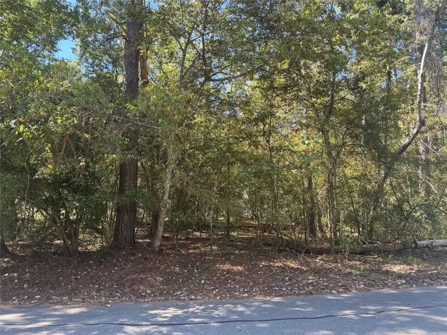 176 N Fairway Loop, Coldspring, TX 77331 - #3