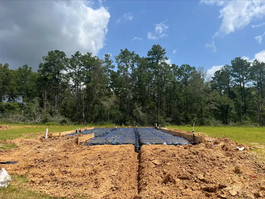 16351 Airborne Arch Lane, Porter, TX 77365 - Image #2