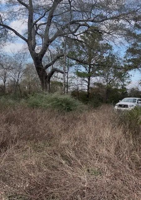 46833 Old Houston Highway, Pine Island, TX 77445