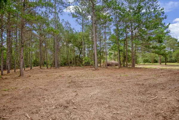 TBD Lot 2 County Road 302, Navasota, TX 77868