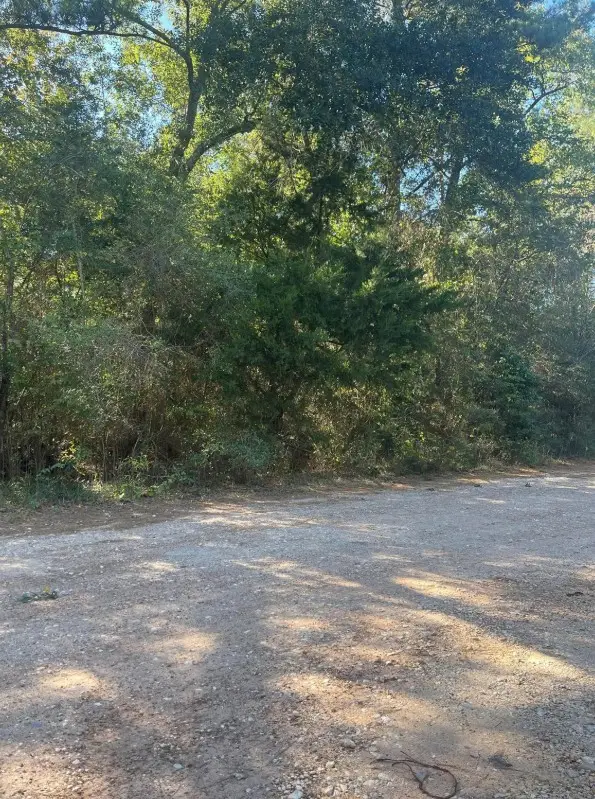 0 Le Conte Ln Lane, Humble, TX 77338