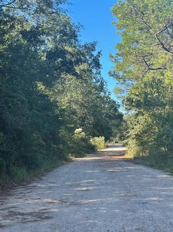 0 Le Conte Ln Lane, Humble, TX 77338 - #2