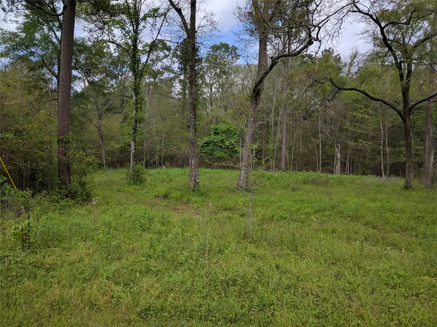 50 Jock G Street, Livingston, TX 77351 - #2