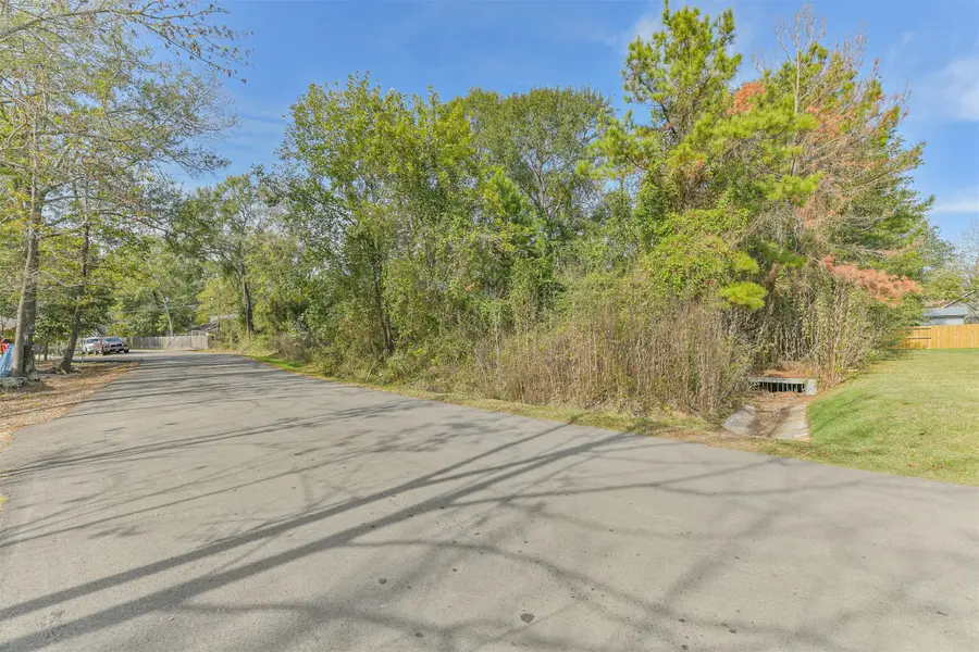 0 Adkins Street, Conroe, TX 77301 - Image #3