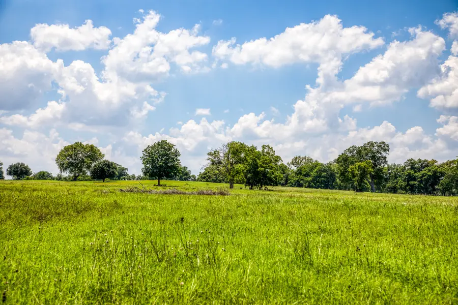 000 Egypt Lane, Washington, TX 77880 - Image #3