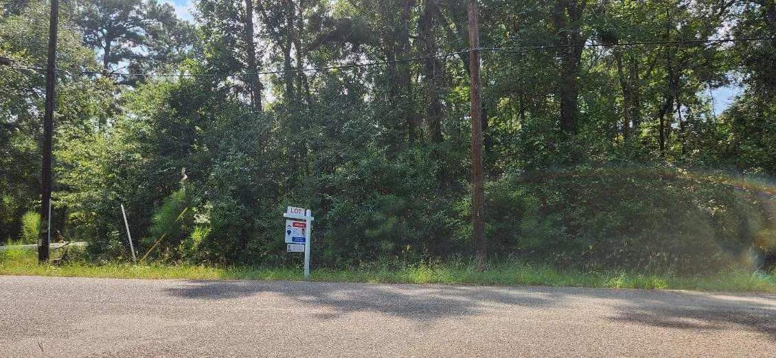 15218 Daniel Street, Magnolia, TX 77354 - #1