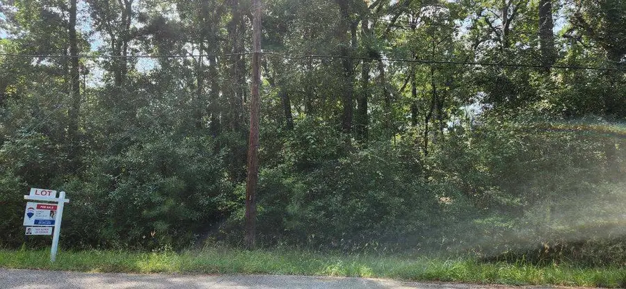 15218 Daniel Street, Magnolia, TX 77354 - #2