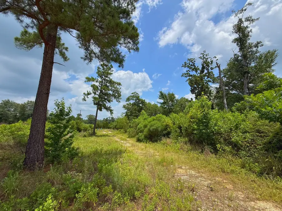 13 ac Cr 2012, Centerville, TX 75833 - #3