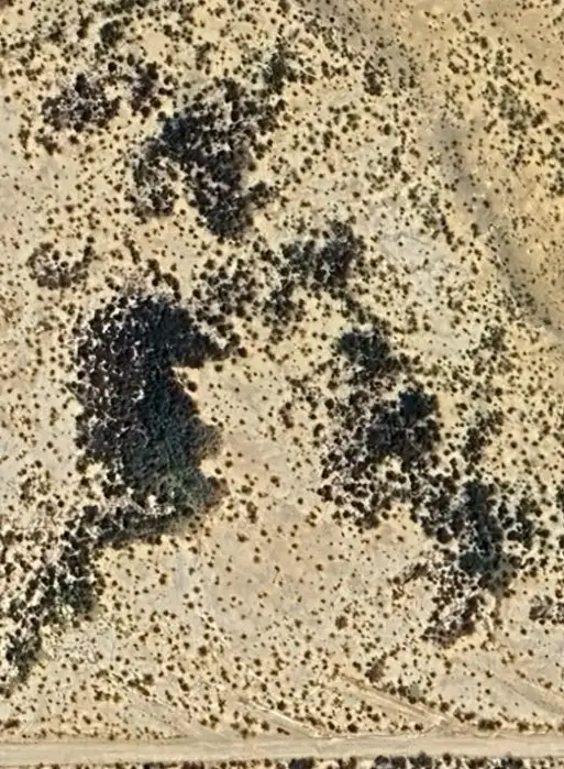 000 Corzo Avenue, Study Butte Terlingua, TX 79852