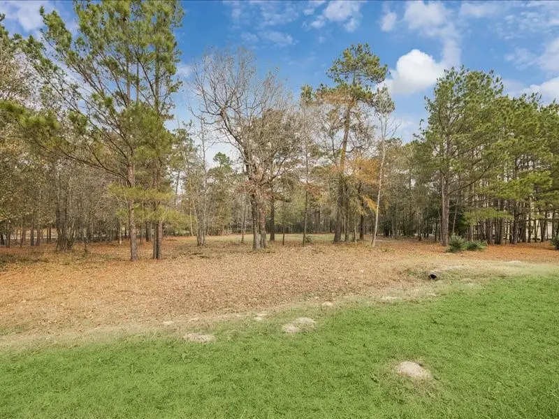 125 Skipper Jack, Montgomery, TX 77316 - Image #3