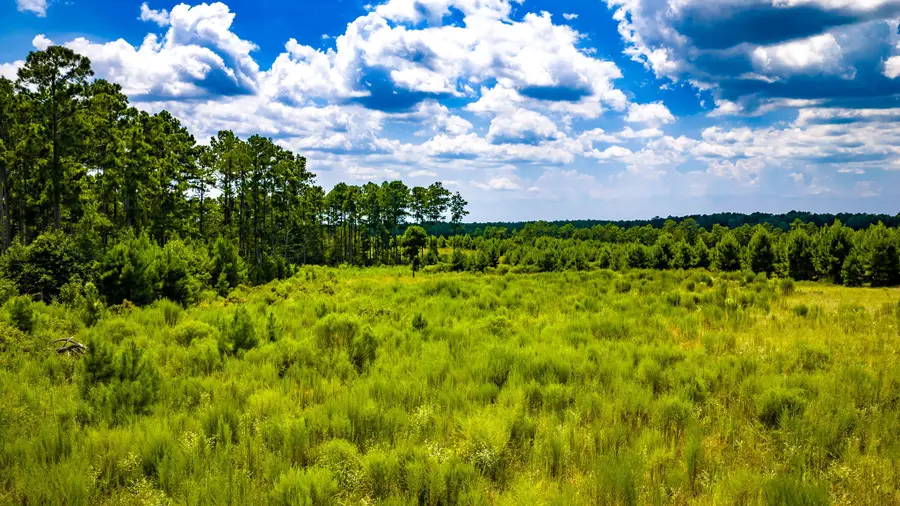 TBD Hardin Hideout, Moscow, TX 75960 - #3