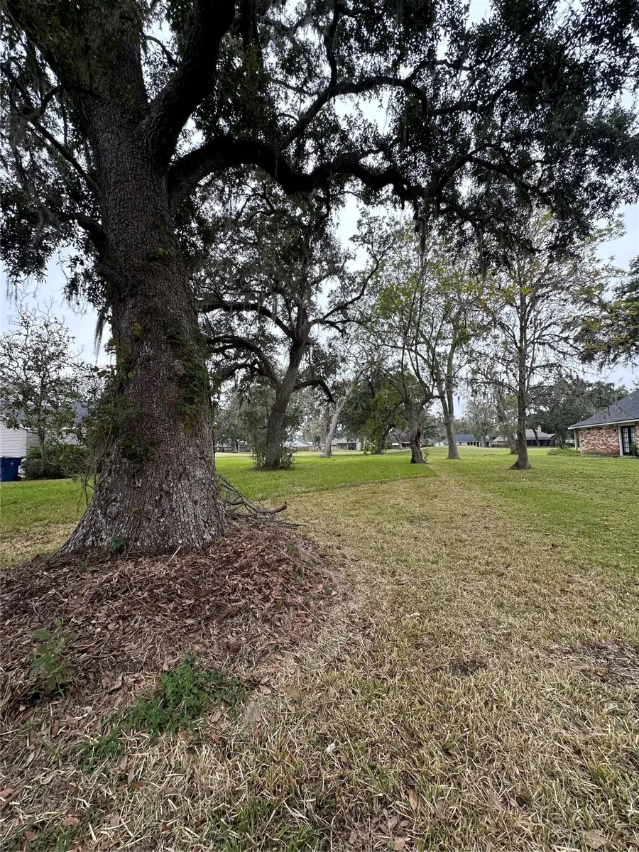 252 Woodhaven Drive, West Columbia, TX 77486 - Image #3