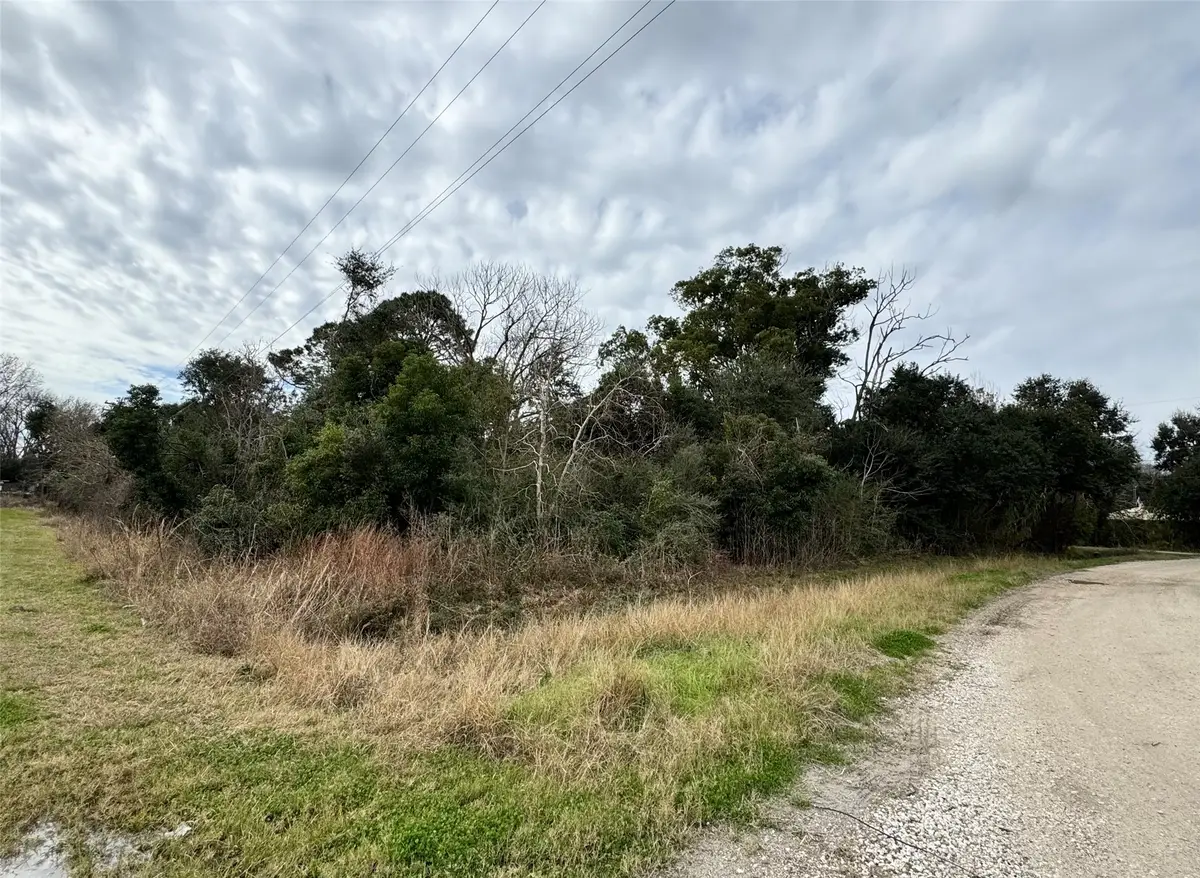 LOT 9 Shannon, Hitchcock, TX 77563 - Image #1