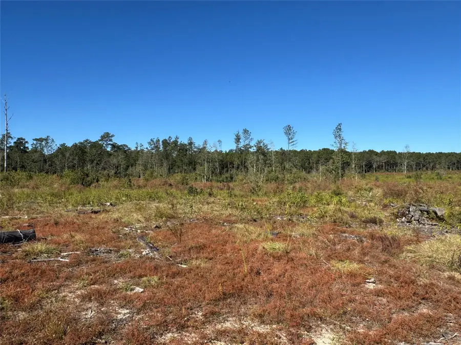 tbd County Road 4800, Warren, TX 77664 - Image #2