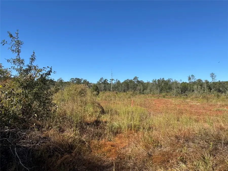 tbd County Road 4800, Warren, TX 77664 - Image #3