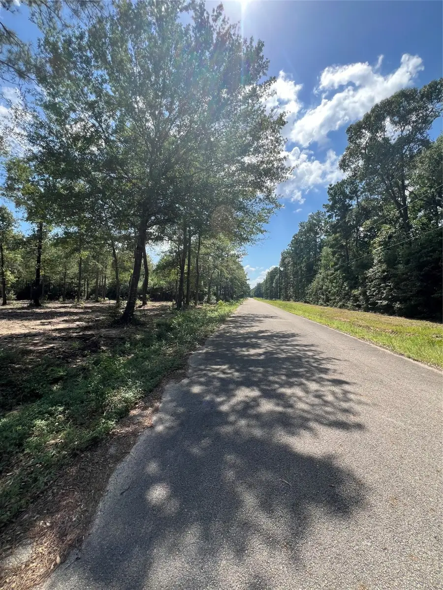 TBD Lot 3 Deerwood Drive, Plantersville, TX 77363 - Image #3