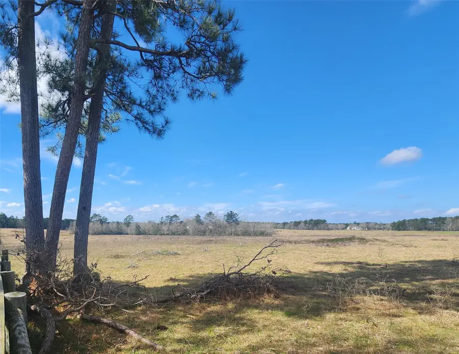 TBD Nelson Road, Livingston, TX 77351 - #2