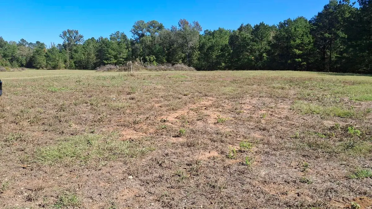 TBD Antioch Road, Groveton, TX 75845 - Image #1