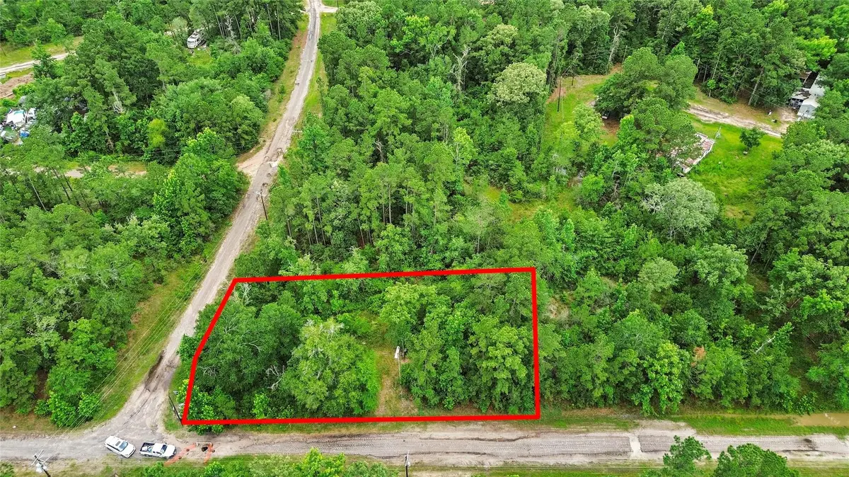 413 N Settlers Way, Trinity, TX 75862 - #1