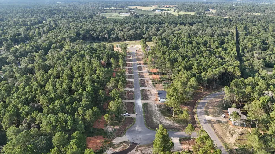 11363 Annie Creek Drive, Willis, TX 77378 - Image #2