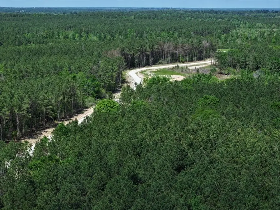 Tract 82 Collin St, Lovelady, TX 75851 - Image #2