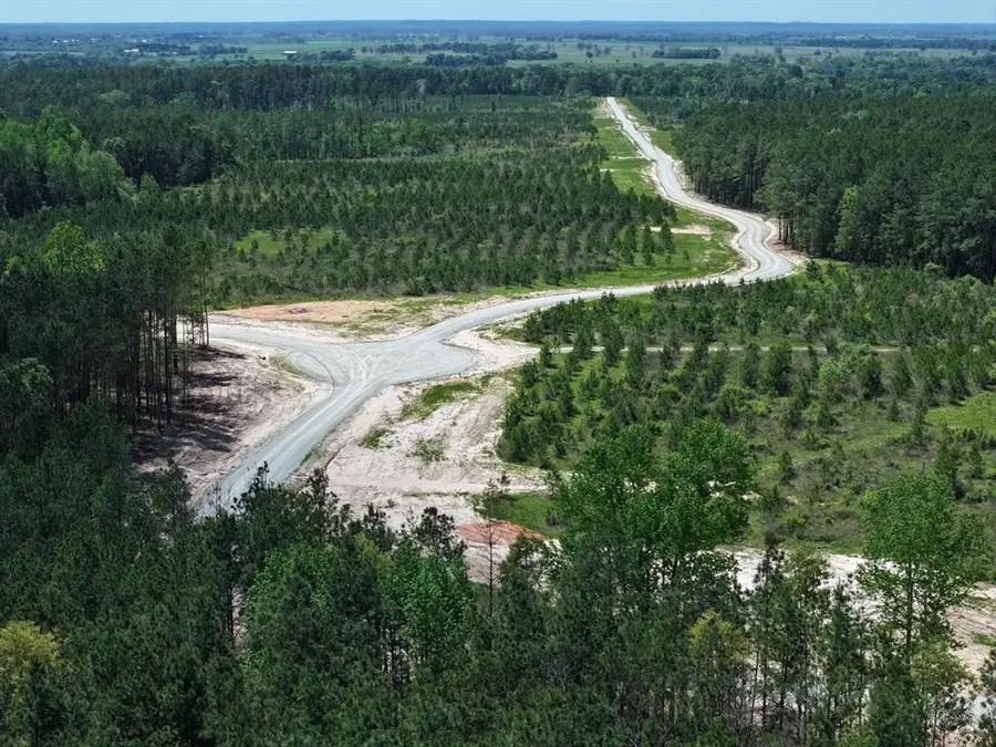 Tract 82 Collin St, Lovelady, TX 75851 - Image #3