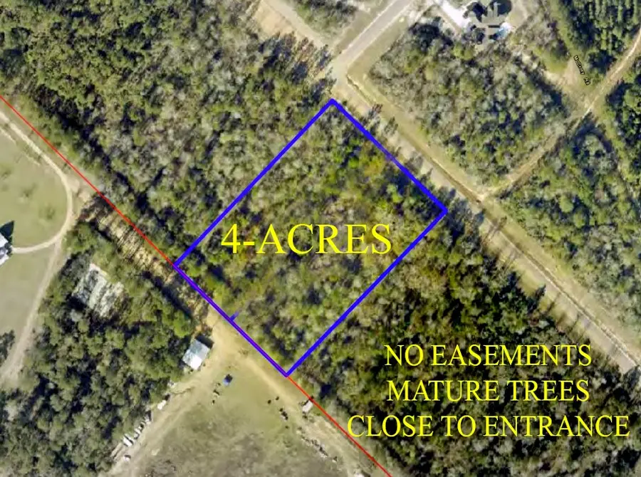 11646 Grand North Road, Willis, TX 77358 - #3