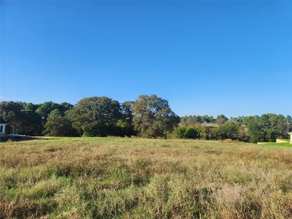 Lot 155 Lago Vista Drive, Athens, TX 75752