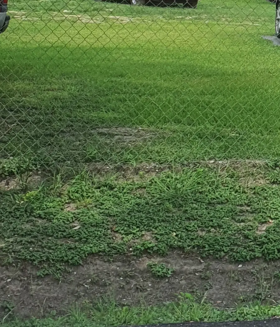 7973 Safebuy Street, Houston, TX 77028 - Image #3