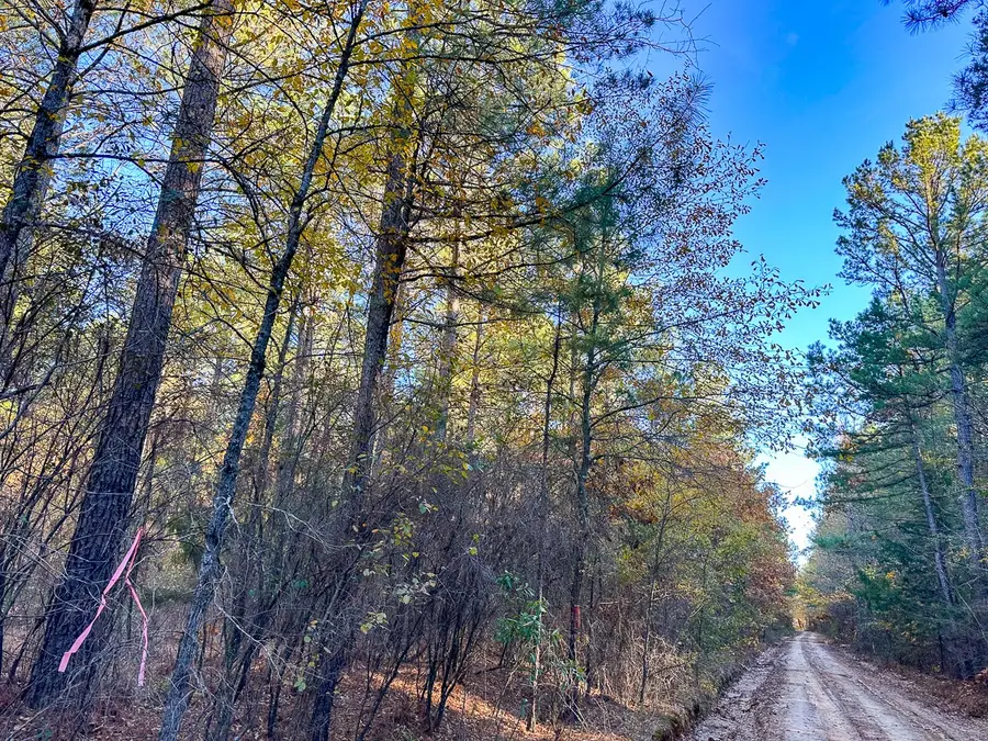 0 Cr 2108, Bagwell, TX 75426 - Image #3