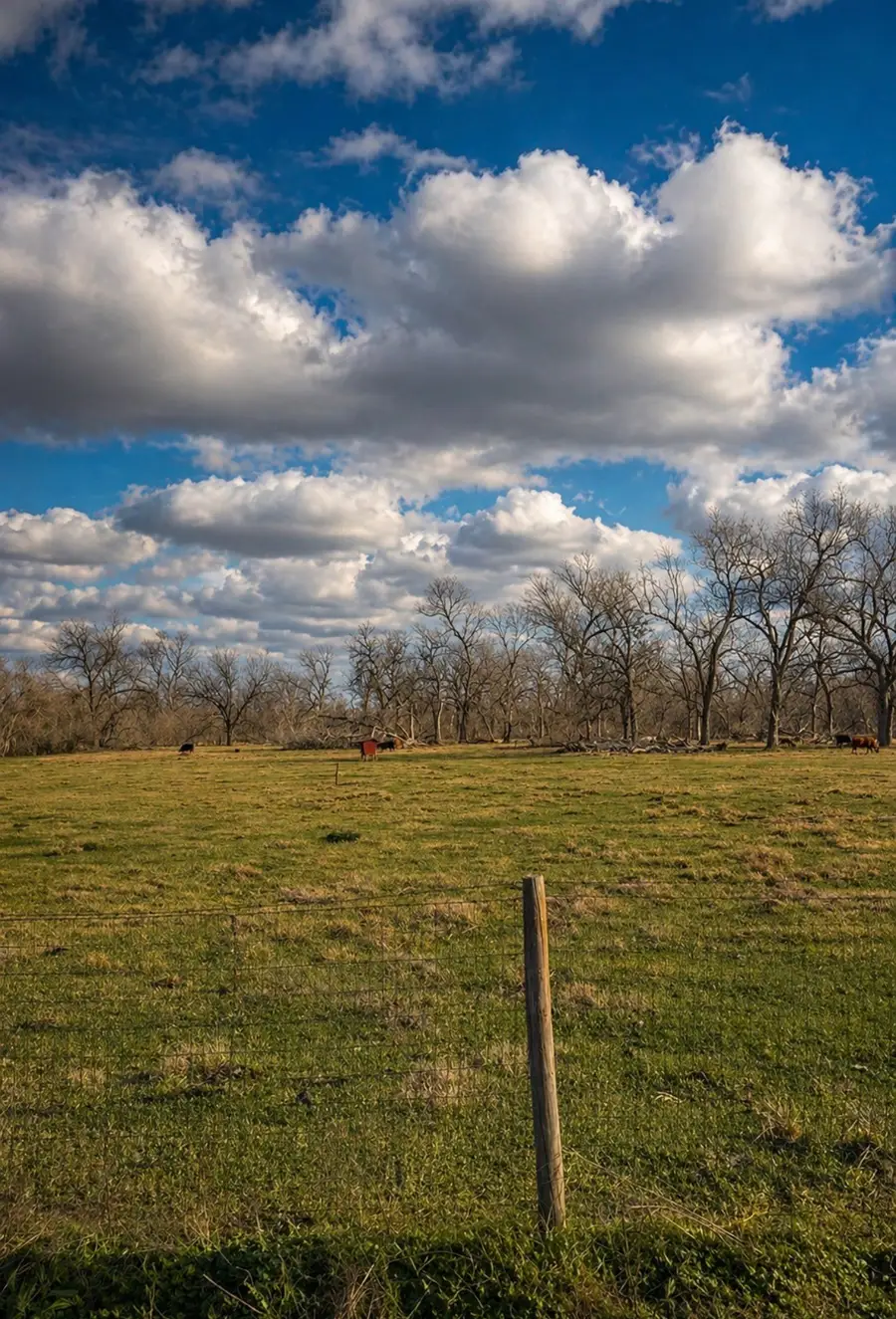 0 County Road 42, Rosharon, TX 77583 - #2