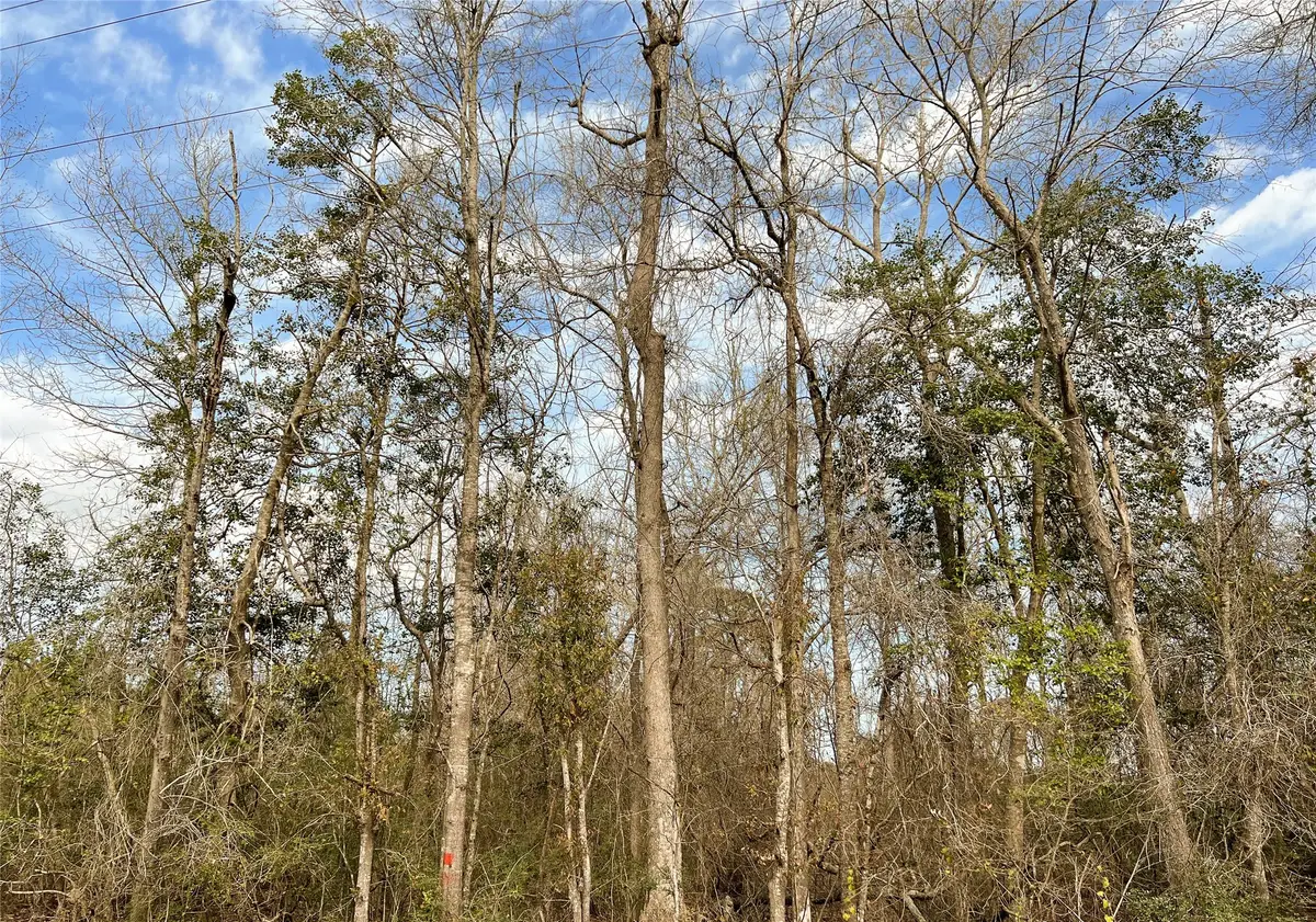 00 Fm 1746, Spurger, TX 77660 - Image #1