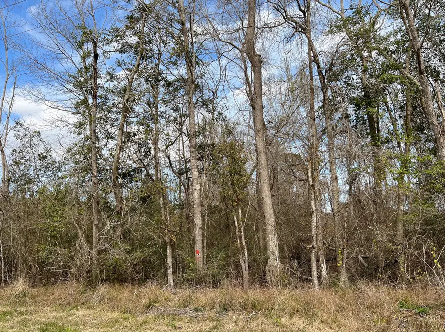 00 Fm 1746, Spurger, TX 77660 - Image #2