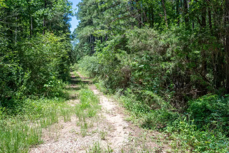 tbd C R 3000, Woodville, TX 75979 - Image #3