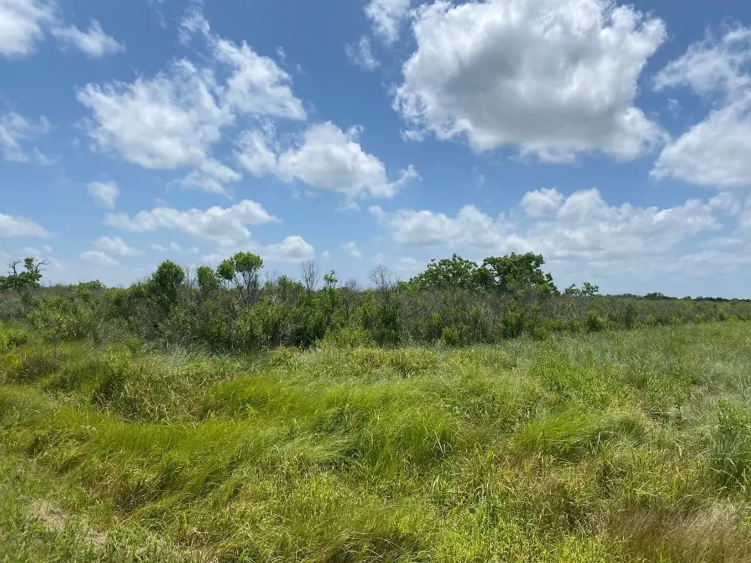 0 County Road 595 Off, Angleton, TX 77515 - Image #1